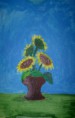 /album/emma-staffoni-le-opere/vaso-di-girasoli-jpg/